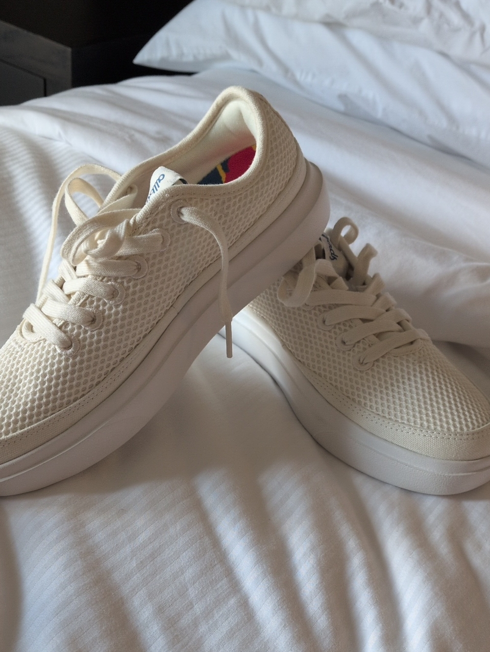 allbirds Cream Knit Lace-Up Sneakers with Multicolor Insole